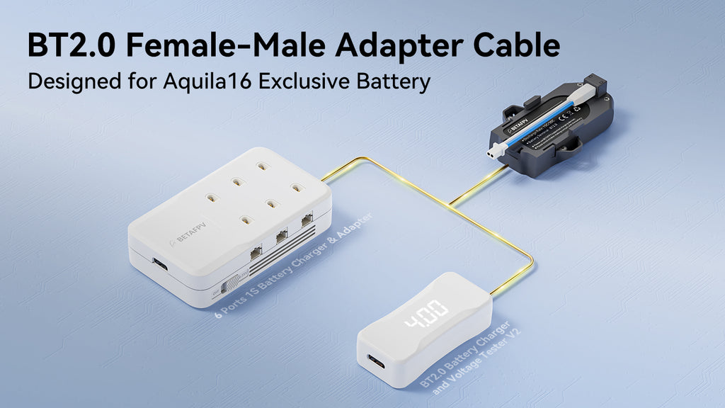 BT2.0 Female-Male Adapter Cable
